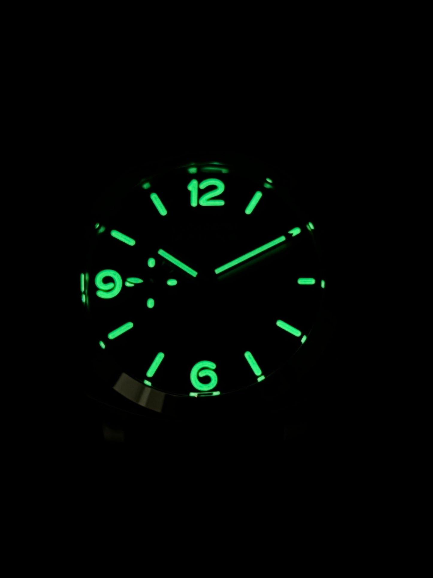 Black Silver - 904L Steel - Green Rubber -Automatic - 44mm